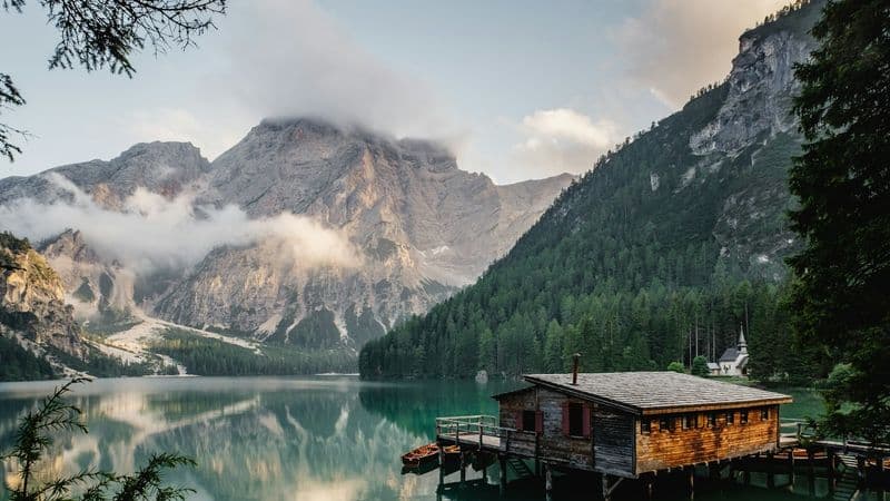 DALA жаңалықтарына арналған редакциялық фотосурет 11